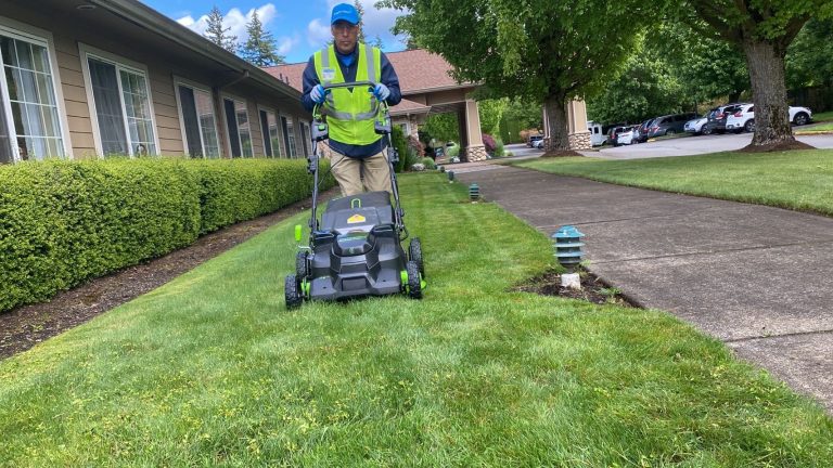 Electric_Mower