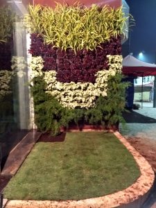 IMG_20180214_062102565_HDR